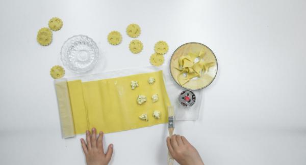 Extender la masa para pasta y, si es necesario, marcar la forma de los raviolis de unos 5 cm Ø en la mitad de la masa. Colocar pequeños trozos de relleno encima y mojar la pasta con un poco de agua con la ayuda de un cepillo.