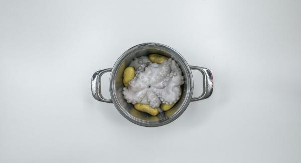 Poner en la olla en frío el pulpo entero y las patatas enteras con piel (encima).
