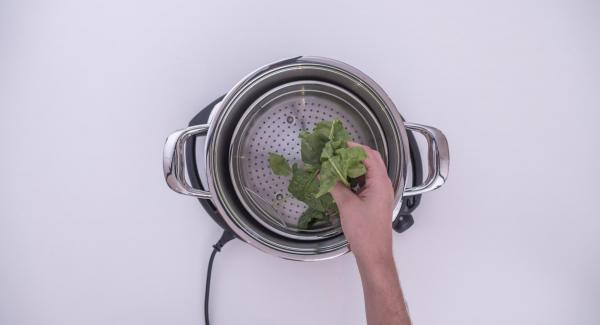 Verter agua (unos 150 ml) en una olla.  Colocar las espinacas en la Softiera, introducir en la olla y tapar con la Tapa Súper-Vapor (EasyQuick) con un aro de sellado de 24 cm.