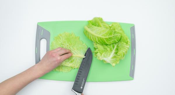 Cortar la gruesa costilla central de las hojas de repollo. Ponerlas entre 2 paños de cocina y aplanar con un rodillo de cocina.