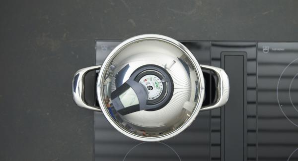 Colocar la olla en el fuego a temperatura máxima. Encender el Avisador (Audiotherm), colocarlo en el pomo (Visiotherm) y girar hasta que se muestre el símbolo de “zanahoria”.