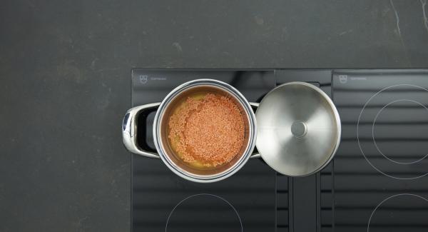 Poner las lentejas y el caldo en una olla pequeña. Colocar la olla en el fuego a temperatura máxima. Encender el Avisador (Audiotherm) e introducir 5 minutos de tiempo de cocción. Colocarlo en el pomo (Visiotherm) y girar hasta que aparezca el símbolo de “zanahoria”.