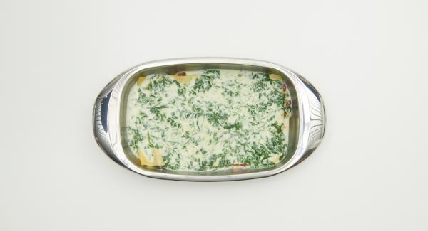 Comenzando por la boloñesa, se coloca todo alternativamente en la lasañera, se termina con la crema de espinacas y finalmente se espolvorea con queso parmesano. Hornear en el horno durante unos 30 minutos hasta que se dore.