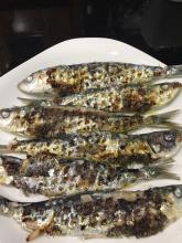 Sardinas asadas